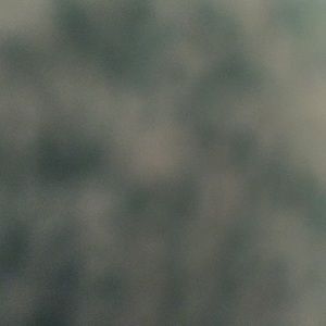 Meet your Posher, Brook